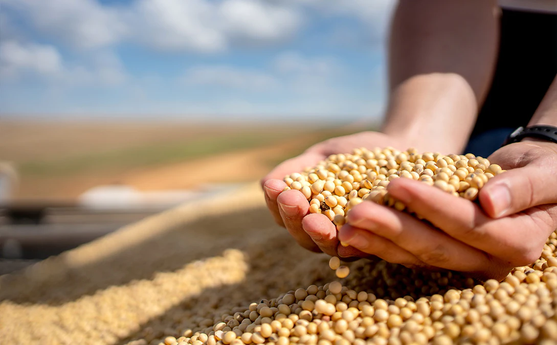 Commodities Trading — 5